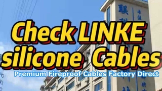 Dongguan Lianke Cable Tech: Introdução de produto de cabo de silicone profissional